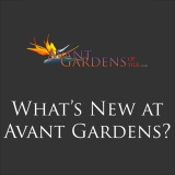 What's New at Avant Gardens?