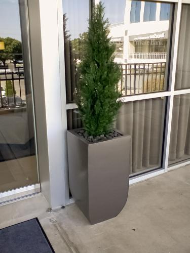 avg-trees-plants-pots-026