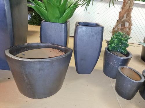 avg-trees-plants-pots-072