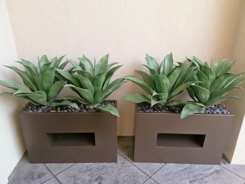 avg-trees-plants-pots-085